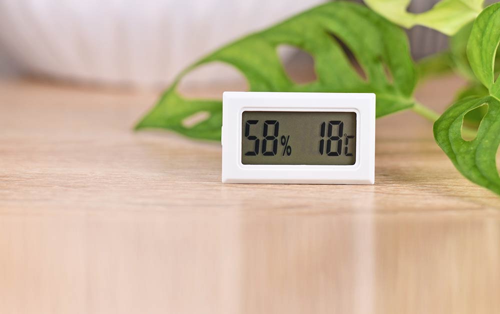 Quel est le taux d'humidité idéal dans une maison ou appart