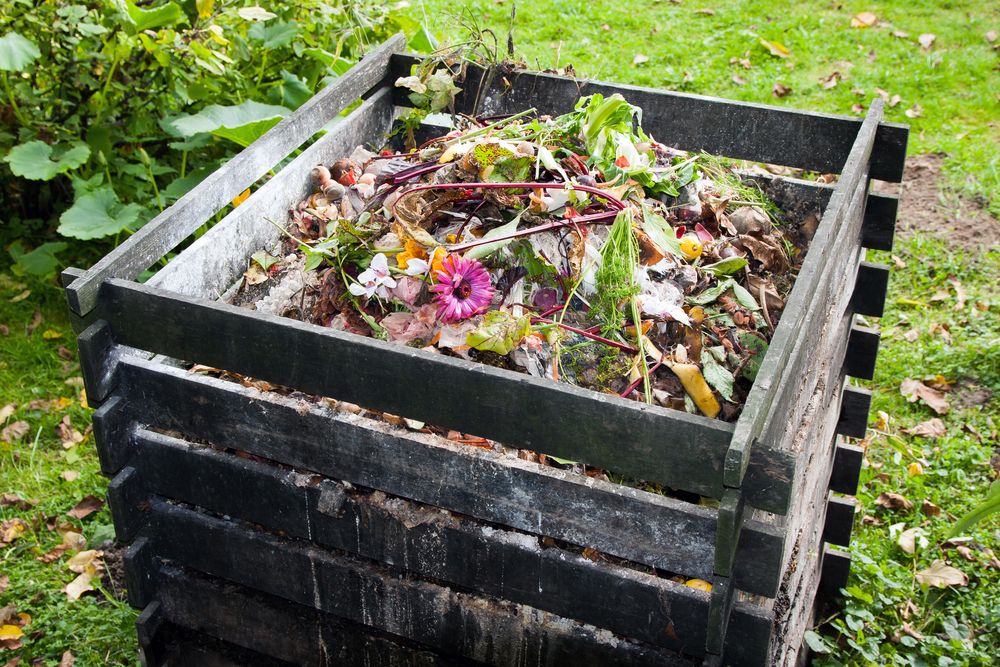 Que peut-on mettre et ne pas mettre dans son bac à compost?