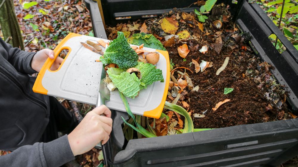 Comment Préserver La Biodiversité 10 Gestes à Appliquer Qualitel Particuliers 3985